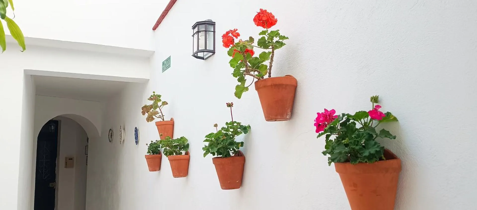 Apartman La Alborea Jerez de la Frontera