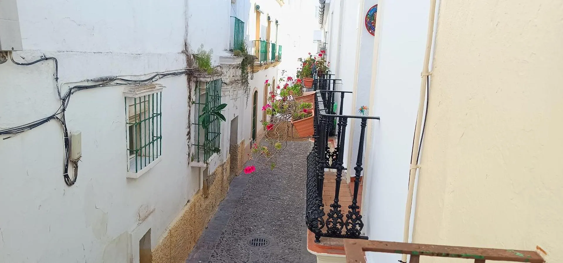 La Alborea Jerez de la Frontera